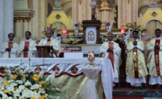 Rosario 8